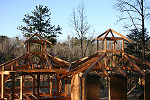 Mountain timber homes